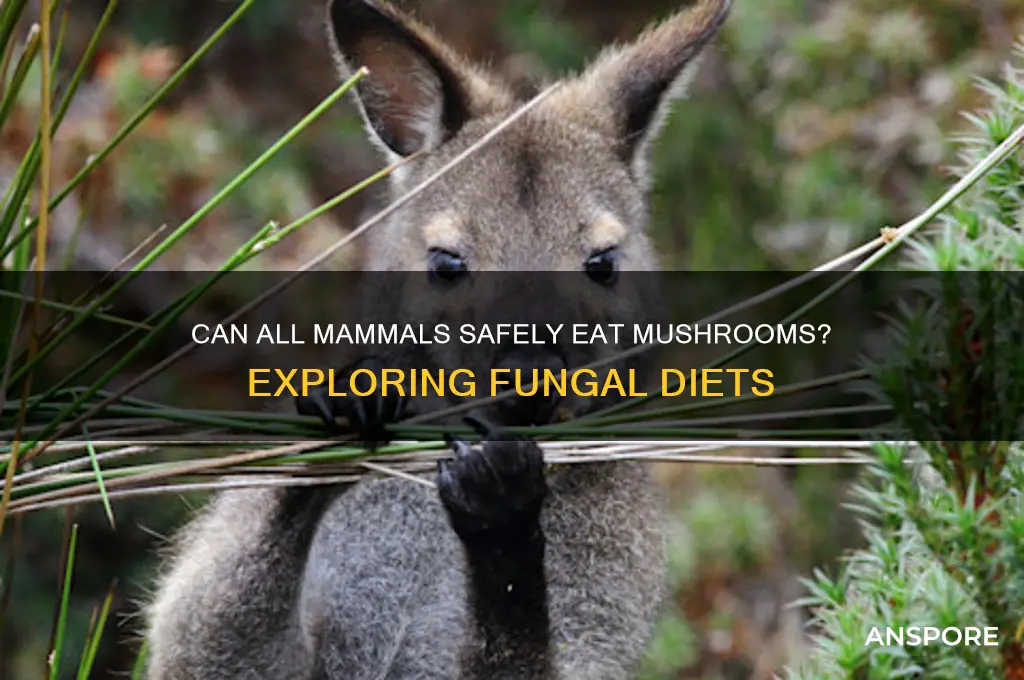 can all mamals eat mushrooms