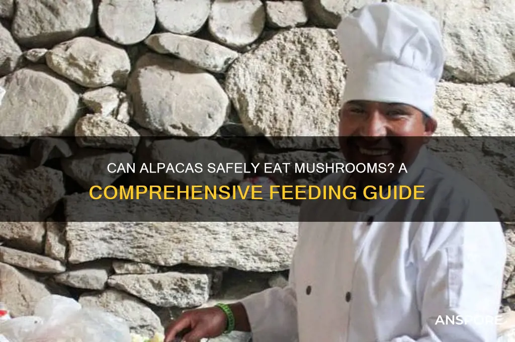 can alpacas eat mushrooms