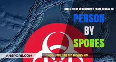 How Spores Spread: Person-to-Person Transmission Explained