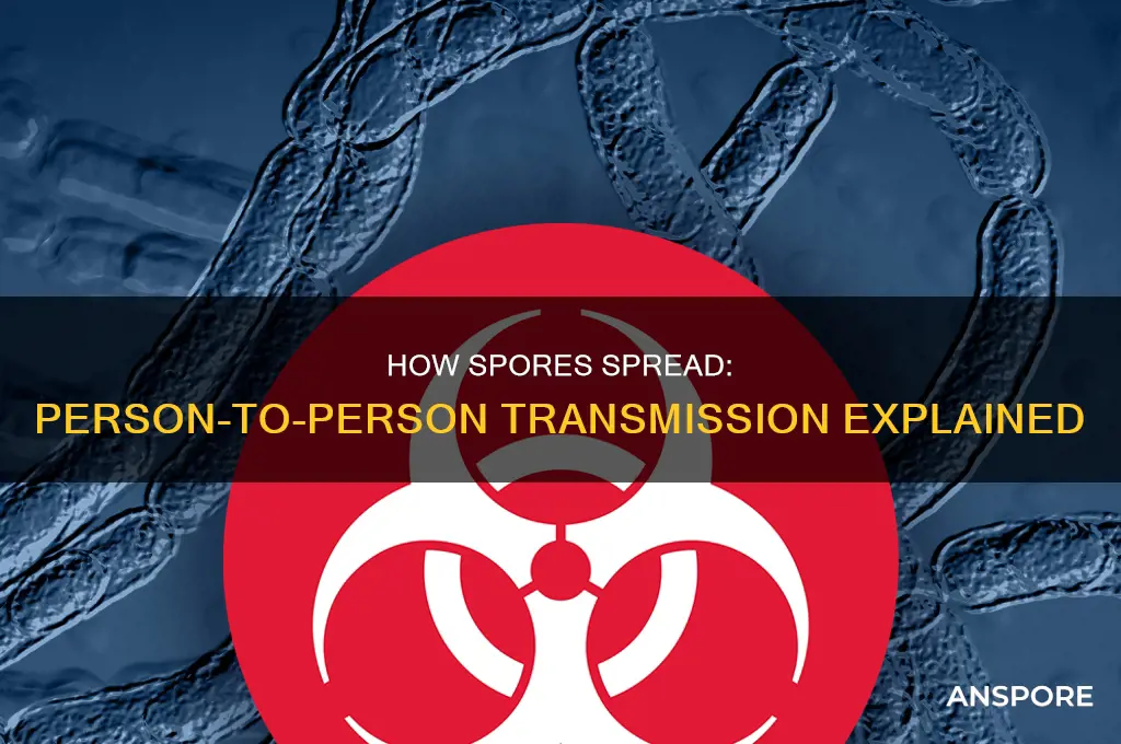can also be transmitted from person to person by spores