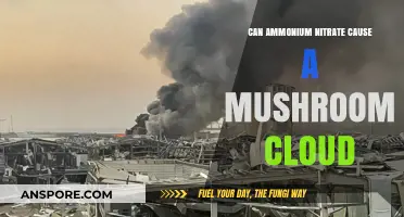 Ammonium Nitrate Explosions: Can They Create Mushroom Clouds?