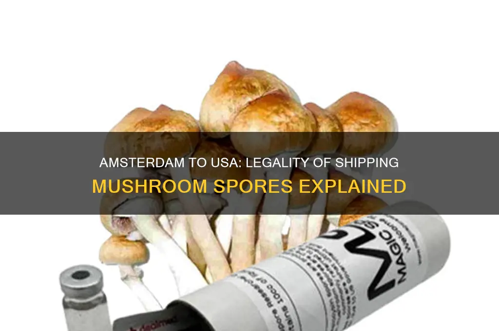 can amsterdam ship mushroom spores to usa