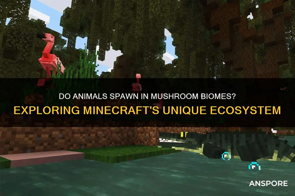 can animal spawn in mushroom biomes