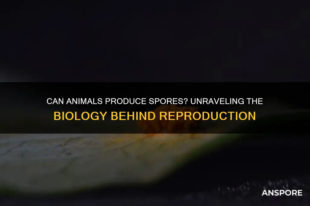can animals produce spores