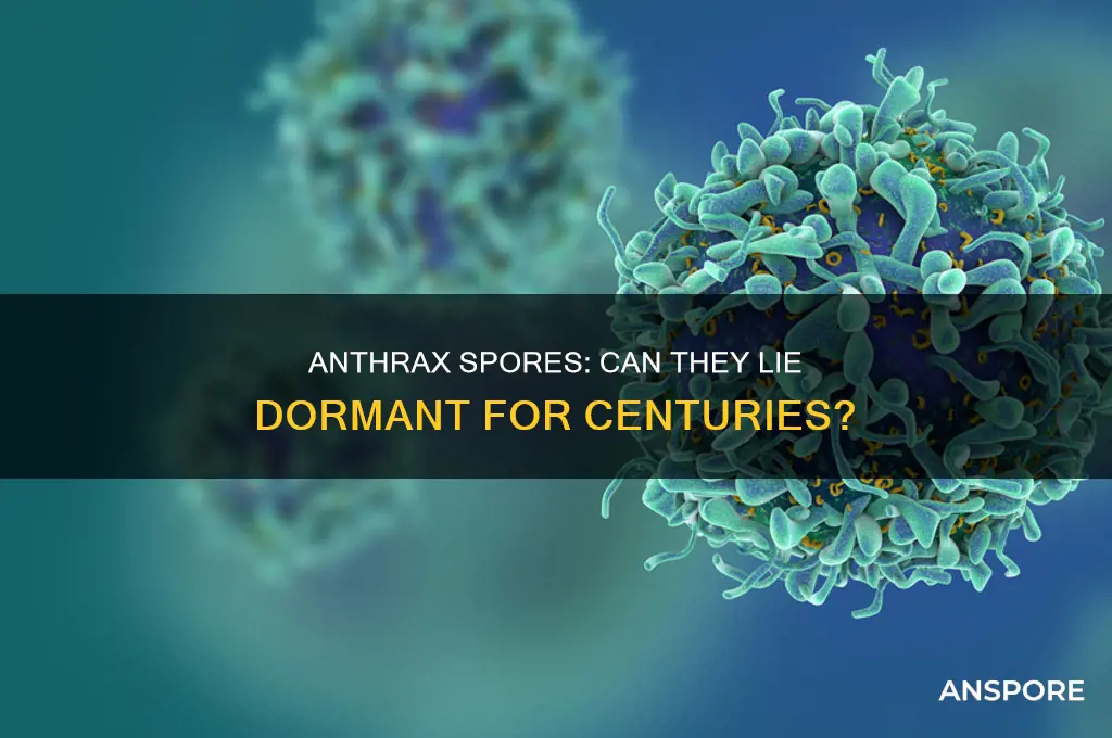 can anthrax spores remain dormant for 100