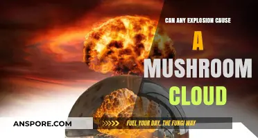 Explosions and Mushroom Clouds: Unraveling the Science Behind Iconic Blasts