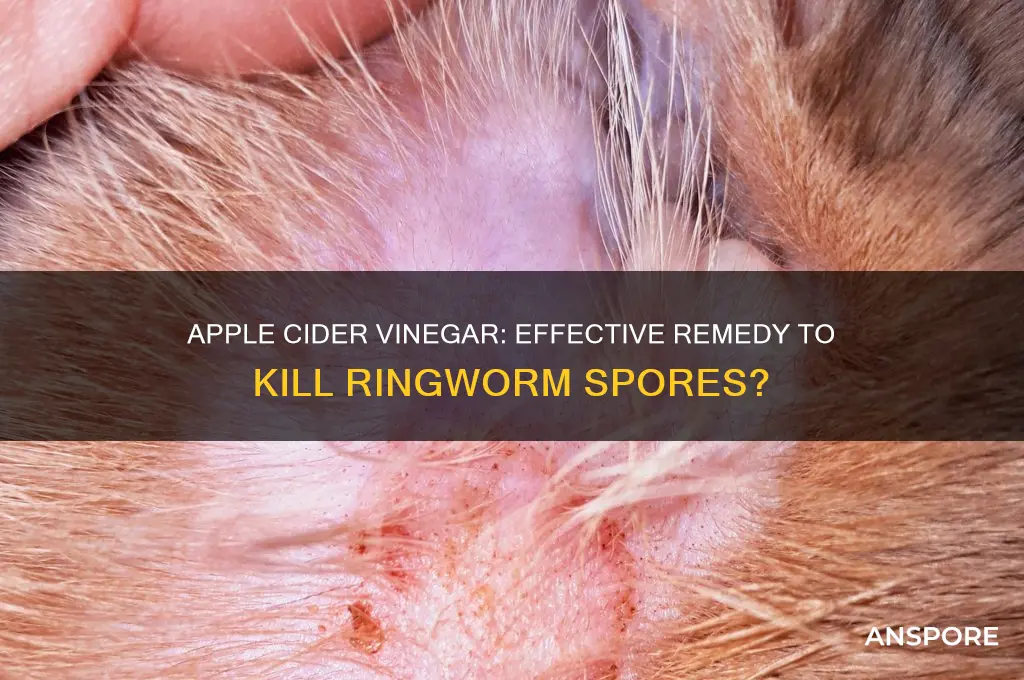 can apple cider vinegar help kill ringworm spores