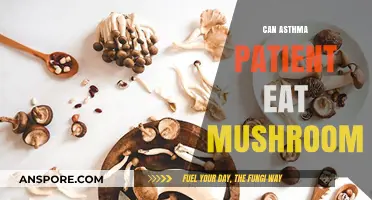 Can Asthma Patients Safely Include Mushrooms in Their Diet?
