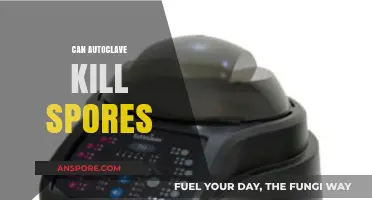 Can Autoclaves Effectively Eliminate Spores? A Comprehensive Guide