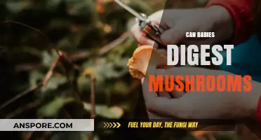 Can Babies Digest Mushrooms? Exploring Safety and Nutritional Benefits