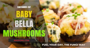 Can Babies Safely Enjoy Baby Bella Mushrooms? A Parent's Guide