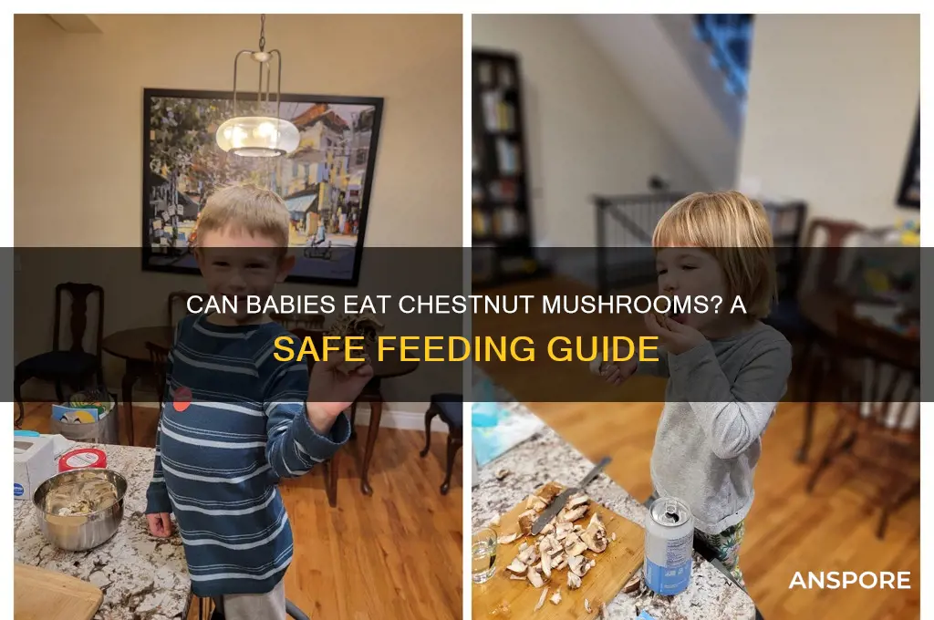 can babies eat chestnut mushrooms