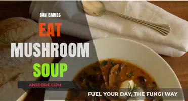 Can Babies Eat Mushroom Soup? A Safe Feeding Guide