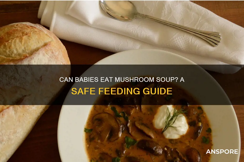 can babies eat mushroom soup