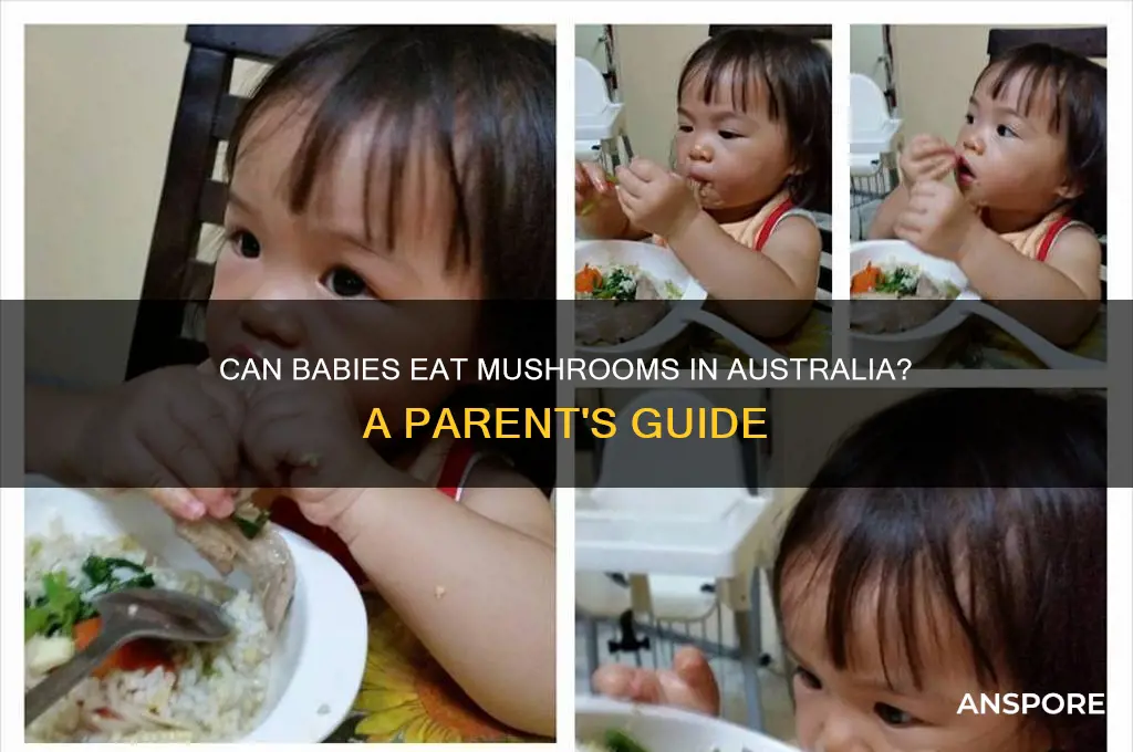 can babies eat mushrooms australia