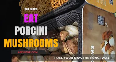 Can Babies Eat Porcini Mushrooms? Safety and Nutritional Insights