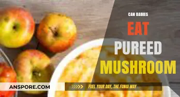 Pureed Mushrooms for Babies: Safe, Nutritious, and Tasty First Food?