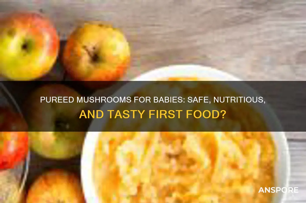 can babies eat pureed mushrooms