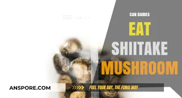 Can Babies Safely Enjoy Shiitake Mushrooms? A Parent's Guide