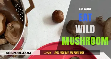 Can Babies Safely Eat Wild Mushrooms? Risks and Precautions Explained