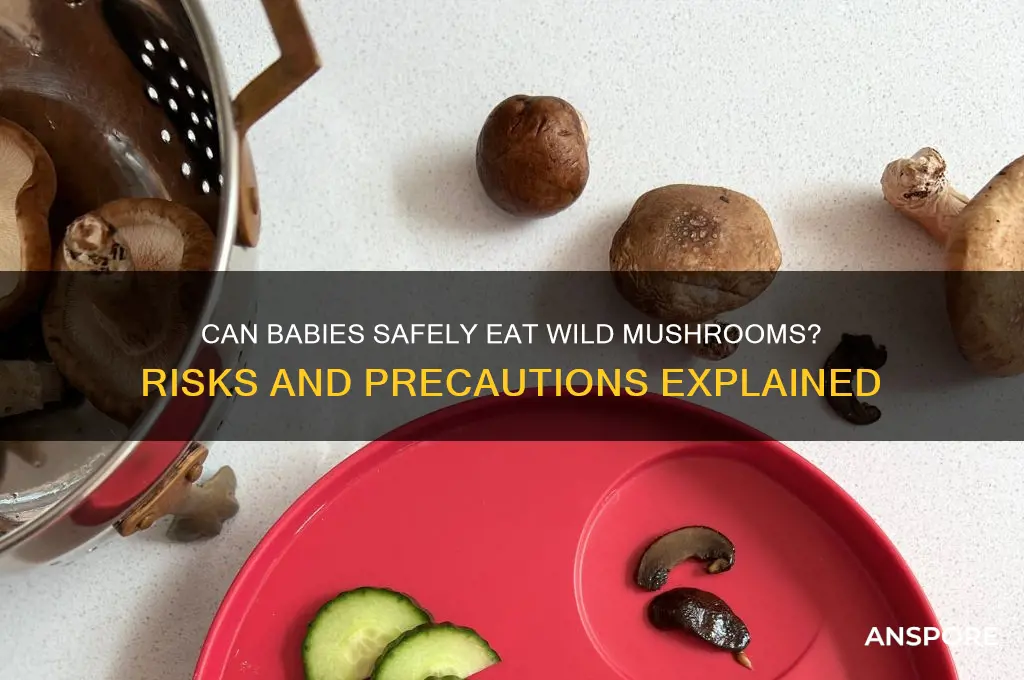can babies eat wild mushrooms