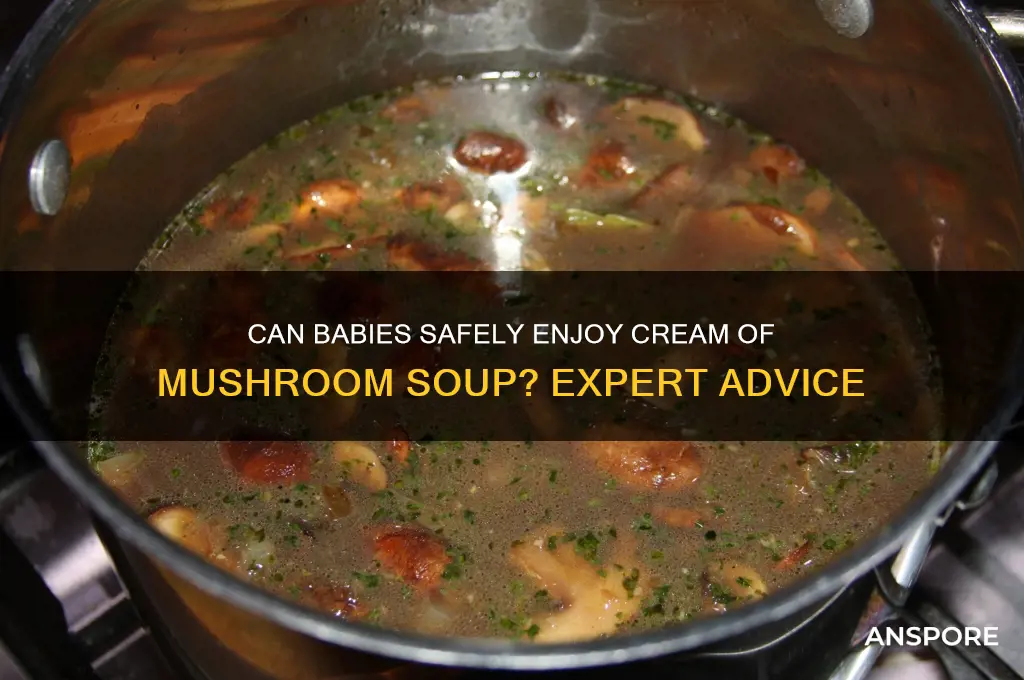 can babies have cream of mushroom soup