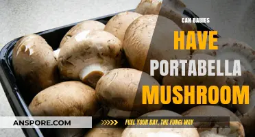 Can Babies Safely Eat Portabella Mushrooms? A Parent's Guide