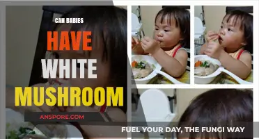 Can Babies Eat White Mushrooms? Safety and Nutritional Insights