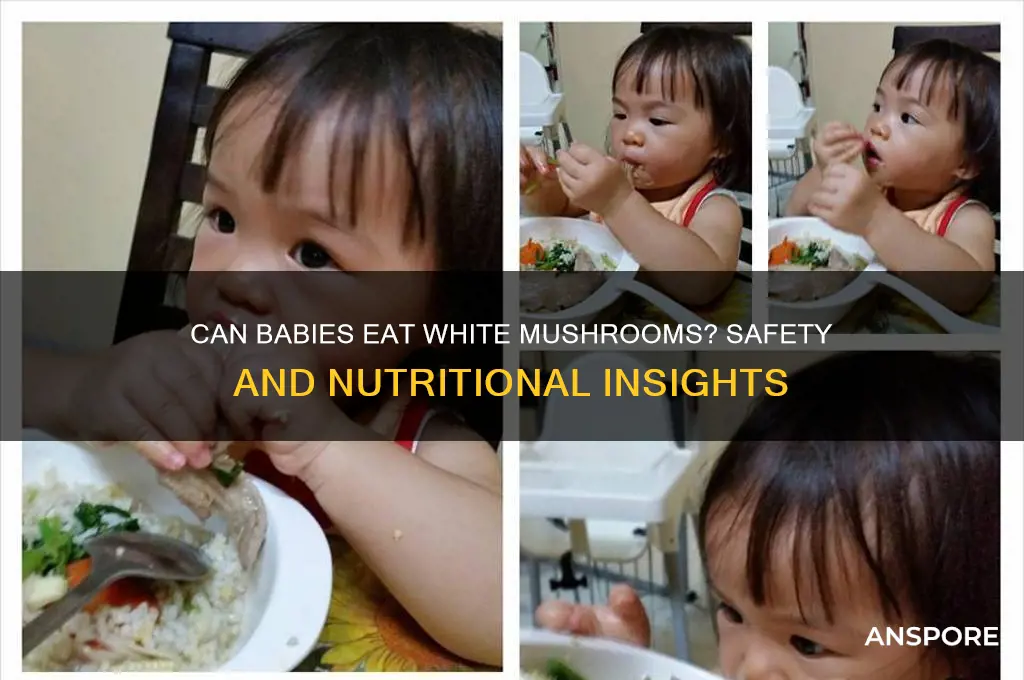 can babies have white mushroom