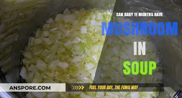 Mushrooms in Baby Soup: Safe for 11-Month-Olds?
