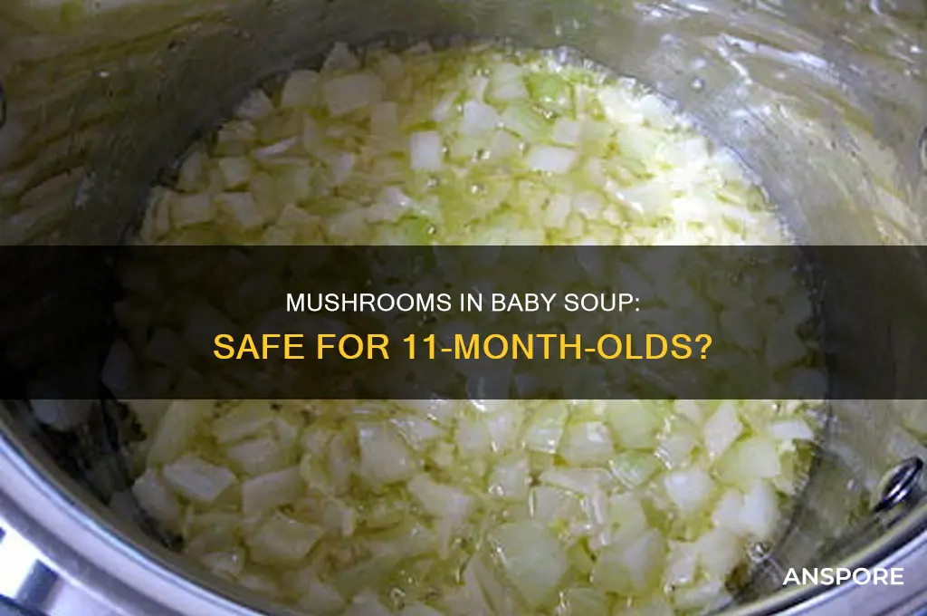 can baby 11 months have mushrooms in soup