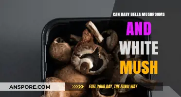 Baby Bella vs. White Mushrooms: Which One Should You Choose?