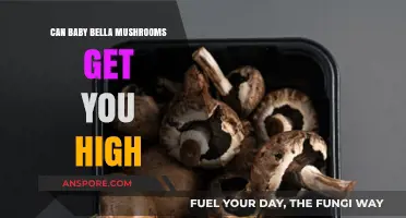 Can Baby Bella Mushrooms Induce a High? Facts and Myths Explained
