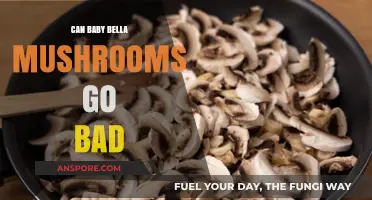 Do Baby Bella Mushrooms Spoil? Shelf Life and Storage Tips