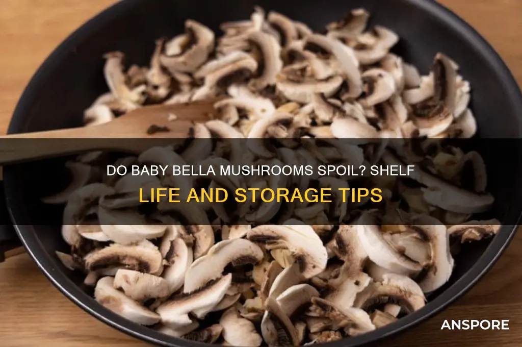 can baby bella mushrooms go bad