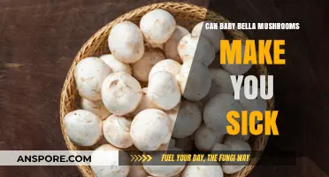 Can Baby Bella Mushrooms Cause Illness? Facts and Safety Tips