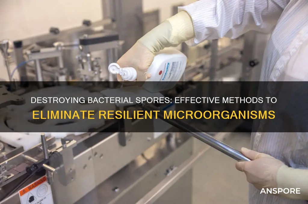 can bacteria be destroyed in the spore forms