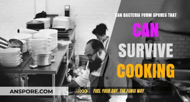 Can Bacteria Spores Survive Cooking? Uncovering Food Safety Myths