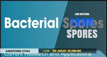 Can Bacteria Form Spores? Unveiling Microbial Survival Strategies