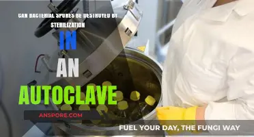 Autoclave Sterilization: Can It Effectively Destroy Bacterial Spores?