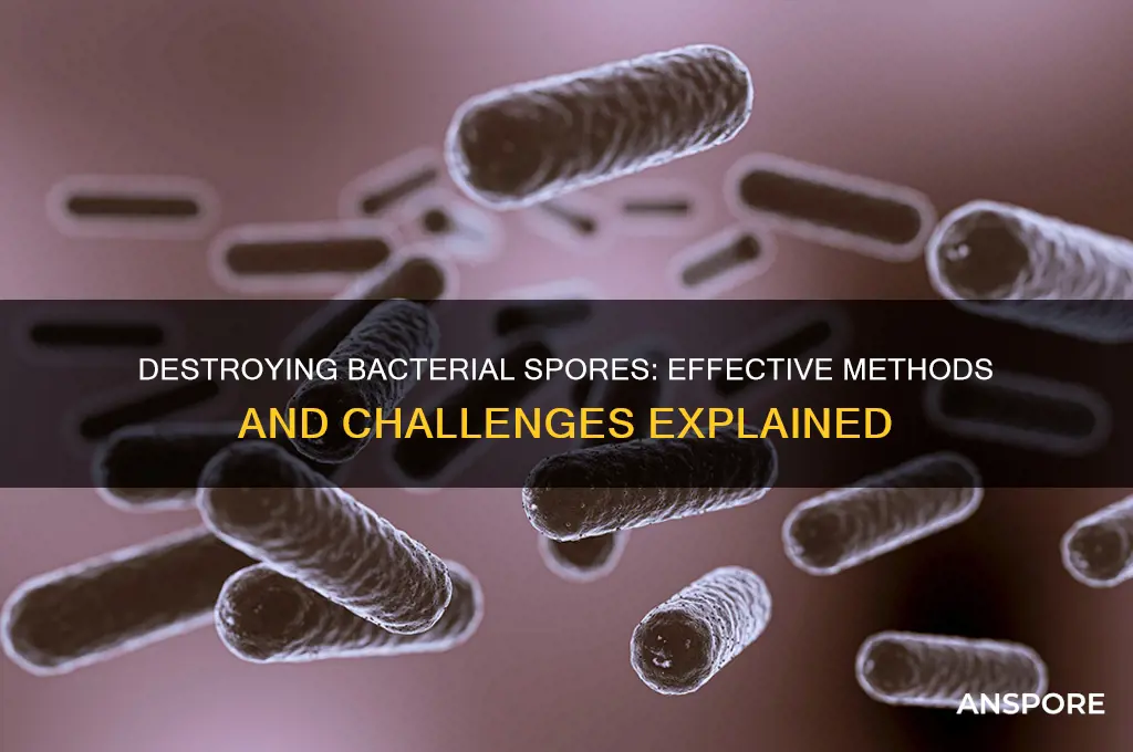 can bacterial spores be destroyed
