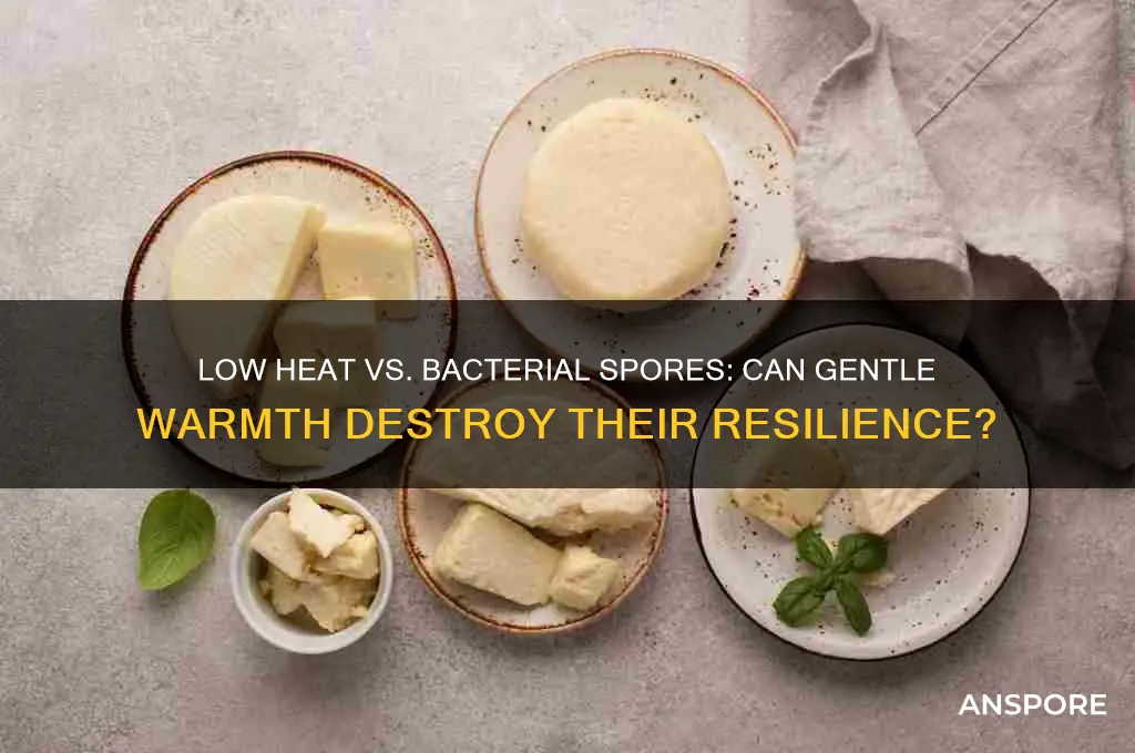 can bacterial spores be easily destroyed by applying low heat