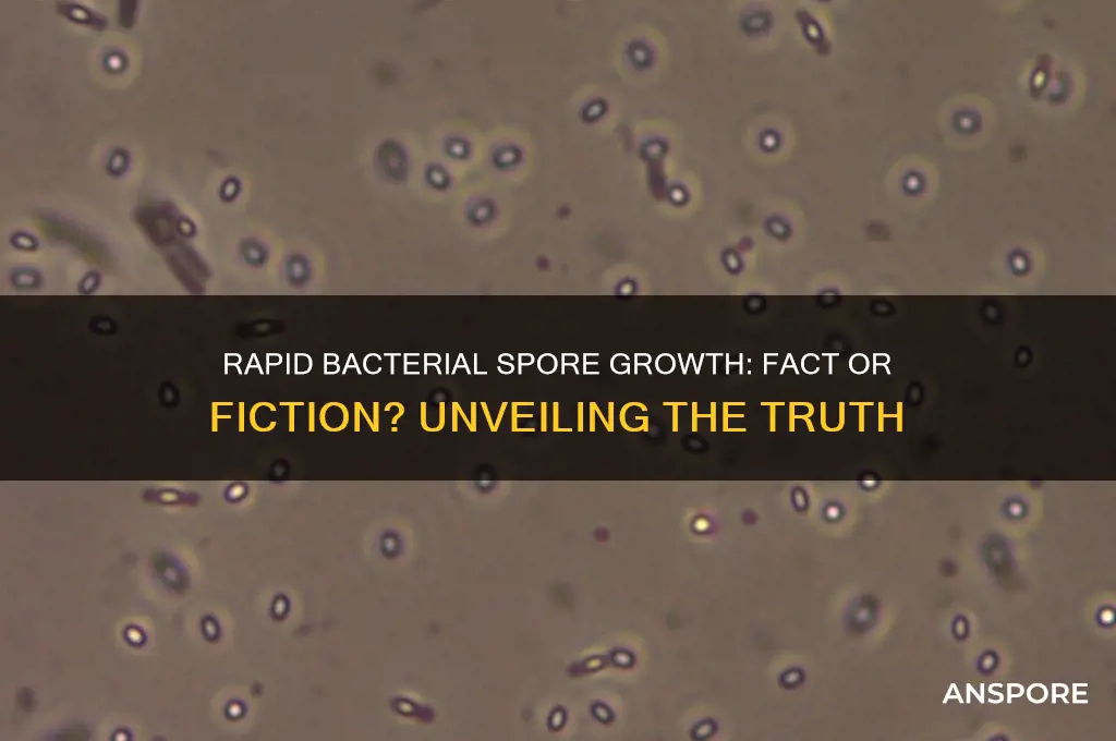 can bacterial spores grow quickly