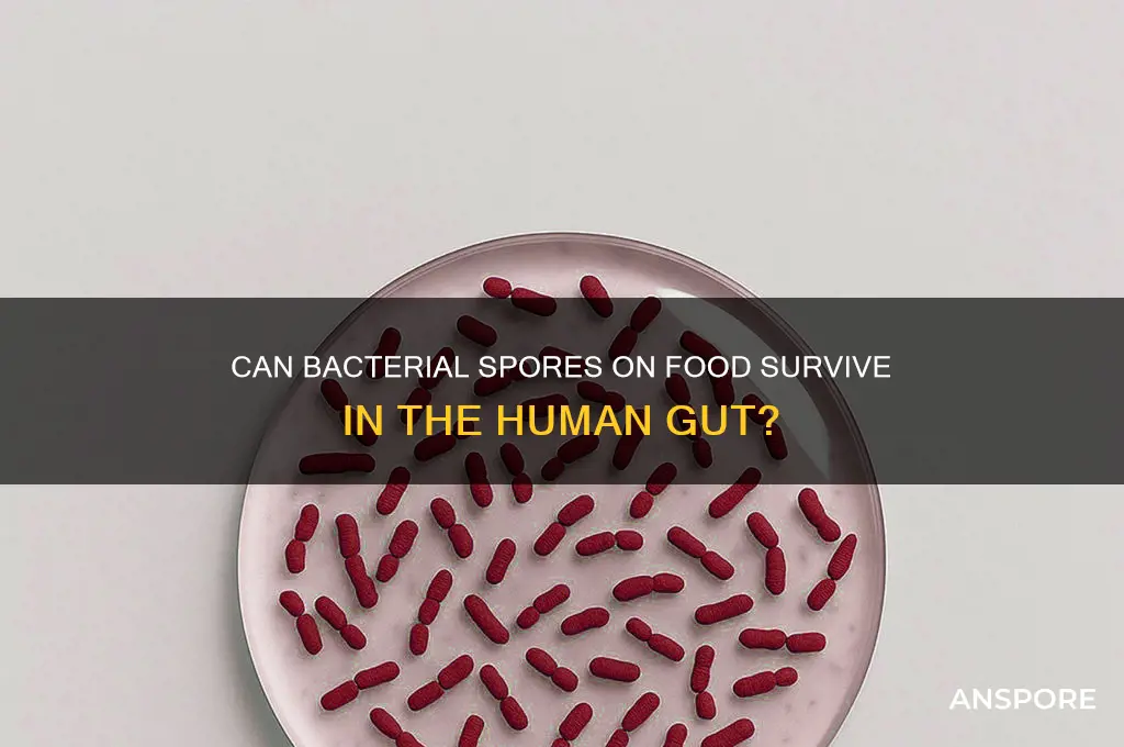 can bacterial spores on food live in the gut