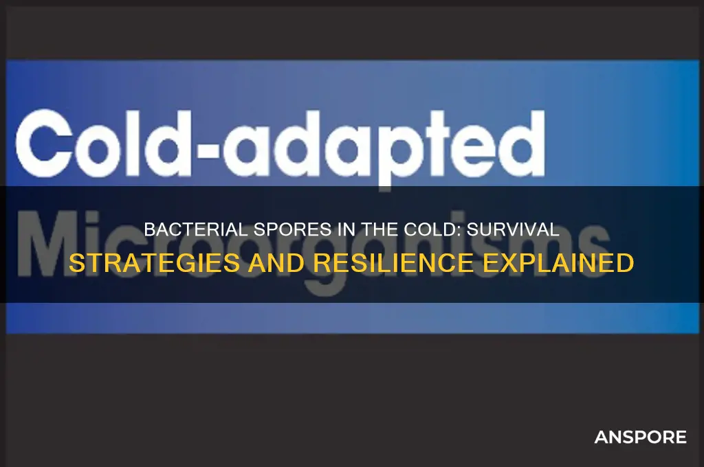 can bacterial spores survive cold temperatures