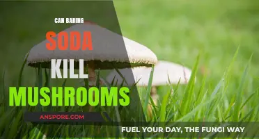 Baking Soda as a Fungicide: Can It Effectively Kill Mushrooms?