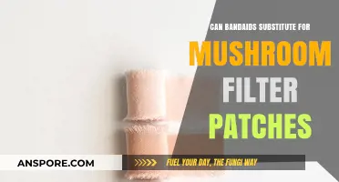 Bandaids vs. Mushroom Filter Patches: A Viable Substitute or Risky Alternative?