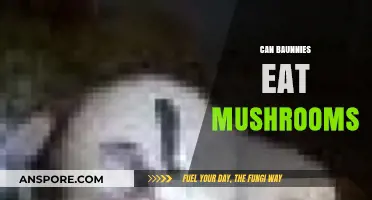 Can Bunnies Safely Eat Mushrooms? A Complete Guide for Owners