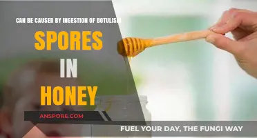 Honey's Hidden Danger: Botulism Spores and Infant Risk Explained