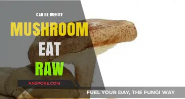 Can You Eat White Mushrooms Raw? Safety and Tips Explained